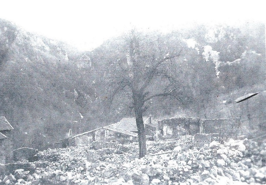 Un arbre calciné au centre du hameau. Au fond le quartier sud.