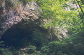 La grotte du Saut de la Bourrique à découvrir en parcourant le sentier du maquis